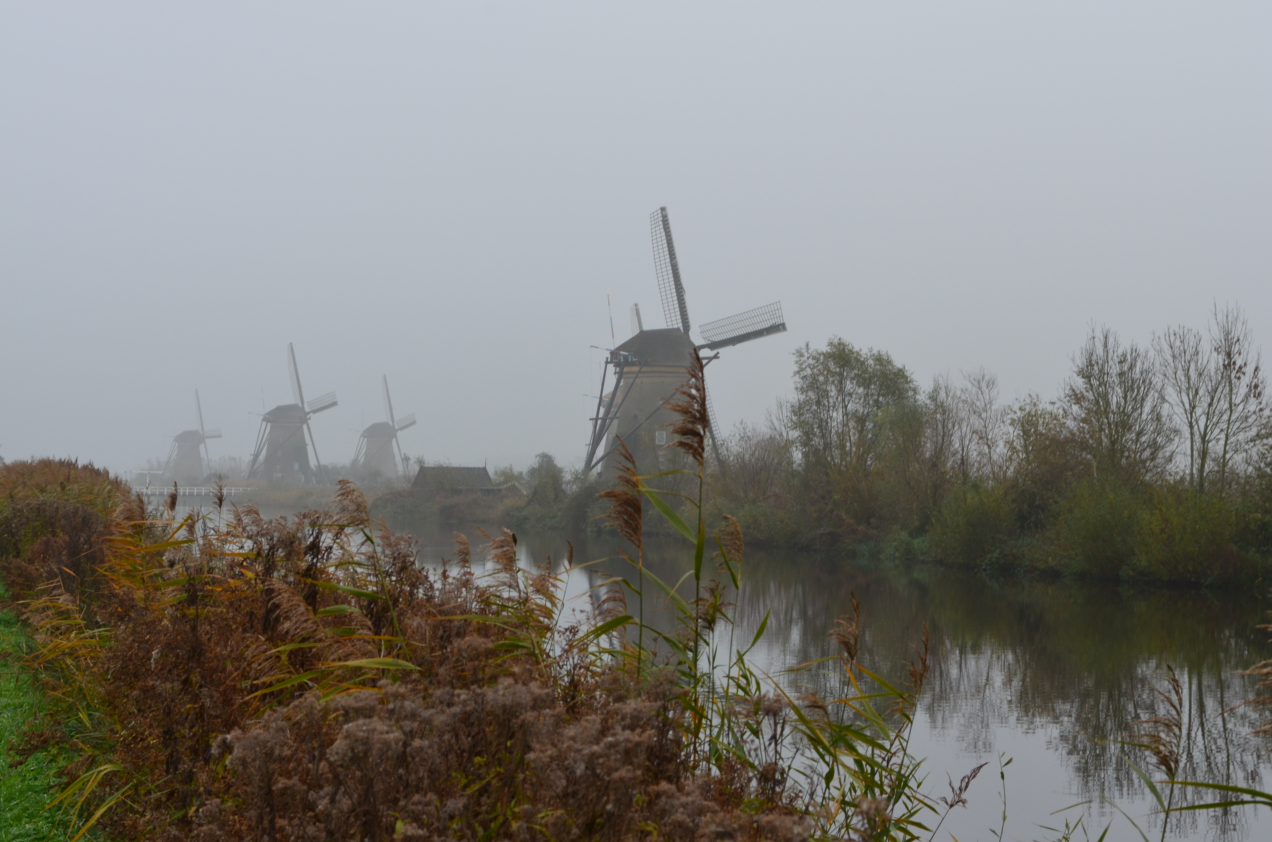 ./2017/19 - Viking Lif/12 - Kinderdijk, The Netherlands/DSC_0269.JPG